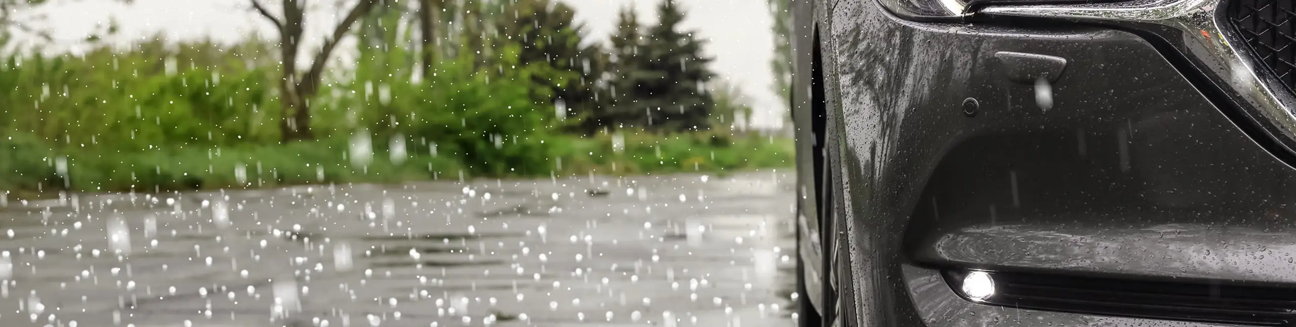 Hail Damage Repair